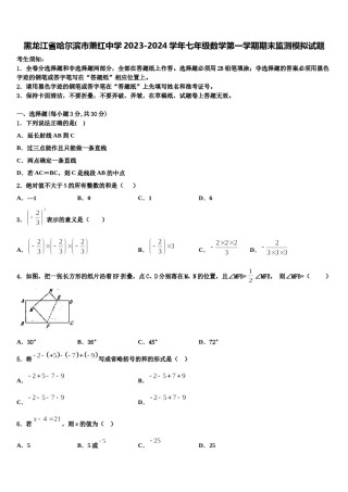 黑龙江省哈尔滨市萧红中学2023-2024学年七年级数学第一学期期末监测模拟试题含解析.doc