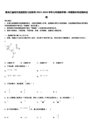 黑龙江省哈尔滨道里区七校联考2023-2024学年七年级数学第一学期期末考试模拟试题含解析.doc