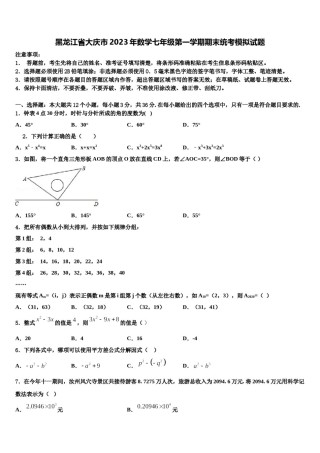 黑龙江省大庆市2023年数学七年级第一学期期末统考模拟试题含解析.doc