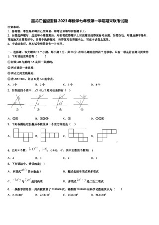 黑龙江省望奎县2023年数学七年级第一学期期末联考试题含解析.doc