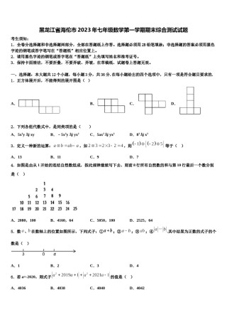 黑龙江省海伦市2023年七年级数学第一学期期末综合测试试题含解析.doc