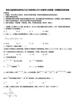 黑龙江省鸡西市虎林市八五八农场学校2023年数学七年级第一学期期末统考试题含解析.doc