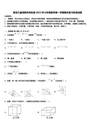 黑龙江省鸡西市鸡东县2023年七年级数学第一学期期末复习检测试题含解析.doc