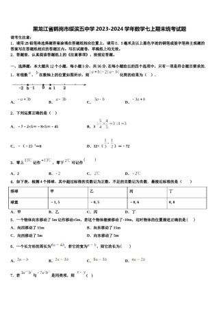 黑龙江省鹤岗市绥滨五中学2023-2024学年数学七上期末统考试题含解析.doc