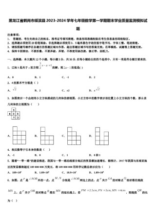 黑龙江省鹤岗市绥滨县2023-2024学年七年级数学第一学期期末学业质量监测模拟试题含解析.doc