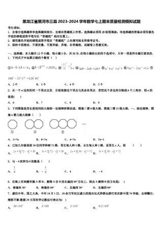 黑龙江省黑河市三县2023-2024学年数学七上期末质量检测模拟试题含解析.doc