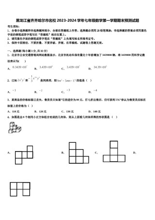 黑龙江省齐齐哈尔市名校2023-2024学年七年级数学第一学期期末预测试题含解析.doc