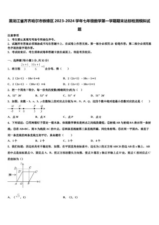 黑龙江省齐齐哈尔市铁锋区2023-2024学年七年级数学第一学期期末达标检测模拟试题含解析.doc