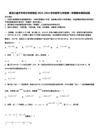 黑龙江省齐齐哈尔市铁锋区2023-2024学年数学七年级第一学期期末调研试题含解析.doc