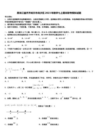 黑龙江省齐齐哈尔市龙沙区2023年数学七上期末联考模拟试题含解析.doc
