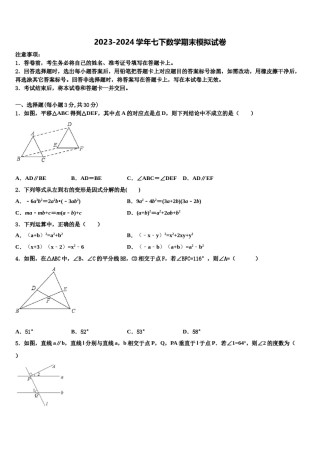 2023-2024学年上海市民办张江集团中学七年级数学第二学期期末教学质量检测模拟试题含解析.doc