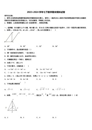 2023-2024学年云南省巧家县数学七下期末教学质量检测试题含解析.doc