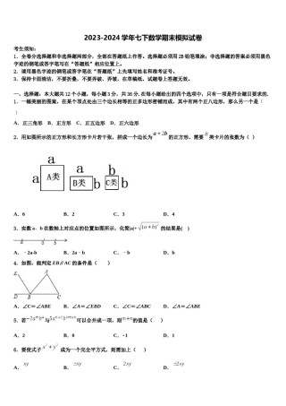 2023-2024学年云南省曲靖市罗平县七年级数学第二学期期末监测模拟试题含解析.doc