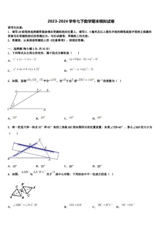 2023-2024学年北京市师达中学数学七下期末调研试题含解析.doc