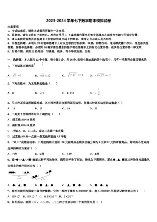 2023-2024学年北京市通州区七年级数学第二学期期末监测试题含解析.doc