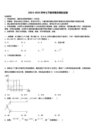 2023-2024学年南省郴州市七年级数学第二学期期末联考试题含解析.doc