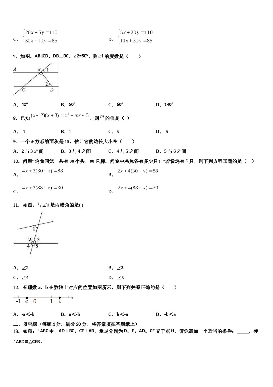 2023-2024学年吉林省白城地区大安县七年级数学第二学期期末综合测试试题含解析.doc_第2页
