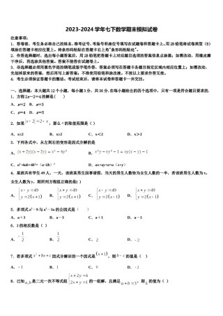 2023-2024学年吉林省白城市洮北区三合乡中学七年级数学第二学期期末经典试题含解析.doc