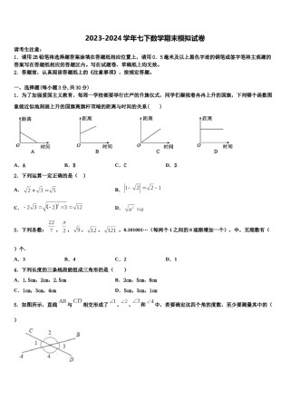 2023-2024学年吉林省白山市七年级数学第二学期期末经典试题含解析.doc