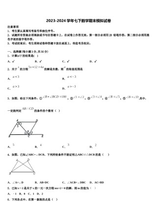 2023-2024学年吉林省长春市朝阳区东北师大附中数学七下期末检测模拟试题含解析.doc