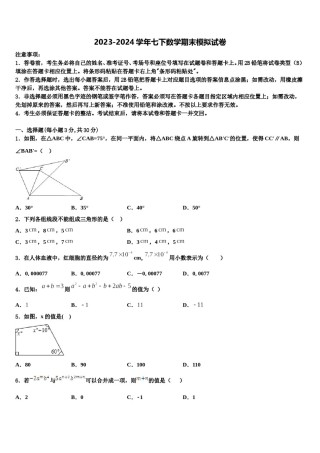 2023-2024学年四川省乐山市实验中学七年级数学第二学期期末学业质量监测模拟试题含解析.doc