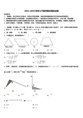 2023-2024学年四川省凉山州七年级数学第二学期期末综合测试模拟试题含解析.doc