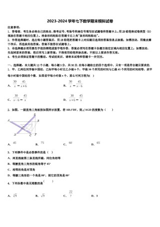 2023-2024学年四川省巴中学市恩阳区五校七年级数学第二学期期末联考试题含解析.doc