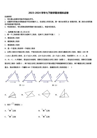 2023-2024学年四川省成都市盐道街中学七年级数学第二学期期末统考试题含解析.doc