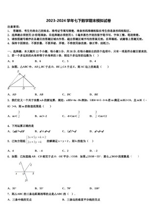 2023-2024学年四川省绵阳市七下数学期末质量跟踪监视模拟试题含解析.doc