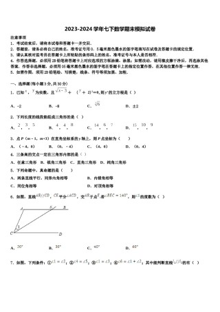 2023-2024学年四川省达州市七下数学期末达标检测模拟试题含解析.doc