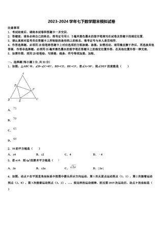 2023-2024学年四川省遂宁市射洪中学七年级数学第二学期期末考试试题含解析.doc