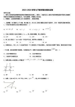 2023-2024学年四川省遂宁市射洪中学数学七下期末考试试题含解析.doc