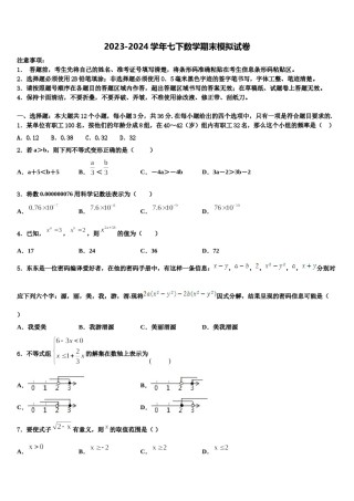 2023-2024学年四川达州新世纪学校数学七下期末学业水平测试模拟试题含解析.doc