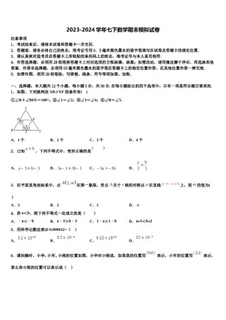 2023-2024学年天津市南开区南大附中七下数学期末统考模拟试题含解析.doc
