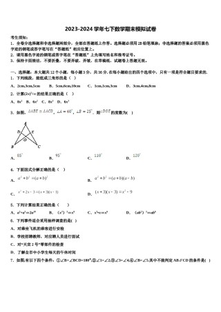 2023-2024学年安徽省亳州蒙城县联考七下数学期末学业水平测试模拟试题含解析.doc