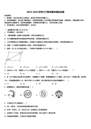 2023-2024学年安徽省六安市天堂寨初级中学七下数学期末综合测试试题含解析.doc