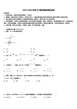 2023-2024学年安徽省安庆市九一六校七年级数学第二学期期末监测试题含解析.doc