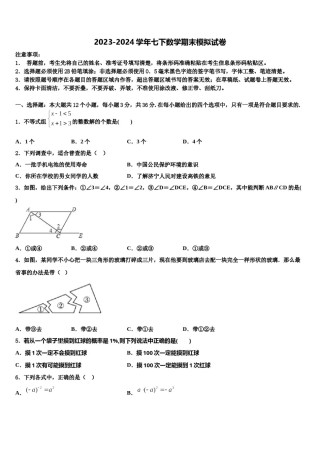 2023-2024学年安徽省石台县数学七下期末达标检测试题含解析.doc