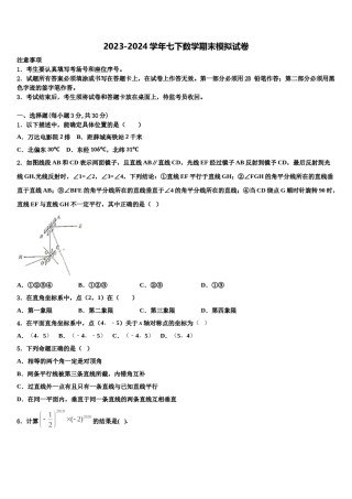 2023-2024学年安徽省阜阳市民族中学数学七下期末综合测试模拟试题含解析.doc