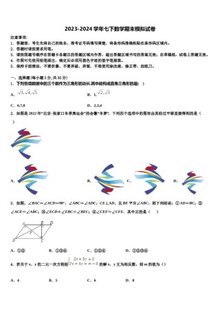 2023-2024学年山东南山集团东海外国语学校数学七下期末达标检测试题含解析.doc