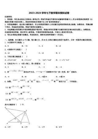 2023-2024学年山东省东平县实验中学七年级数学第二学期期末质量检测试题含解析.doc