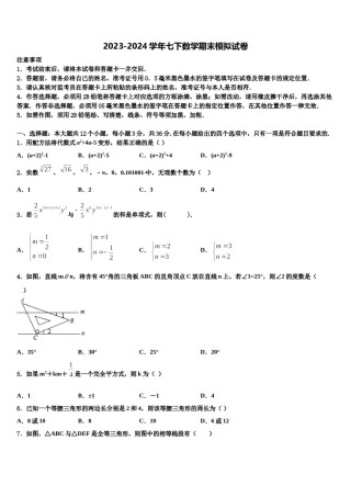 2023-2024学年山东省东平县实验中学数学七下期末学业水平测试试题含解析.doc