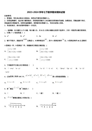 2023-2024学年山东省临沂太平中学七年级数学第二学期期末统考模拟试题含解析.doc