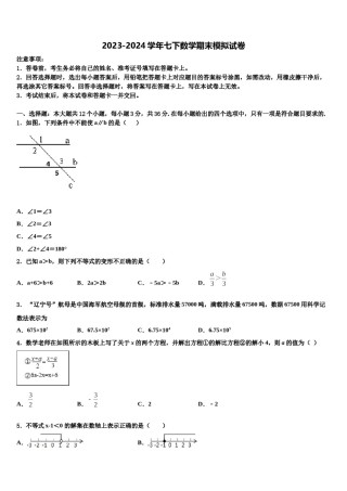2023-2024学年山东省乐陵市第一中学七年级数学第二学期期末学业质量监测模拟试题含解析.doc
