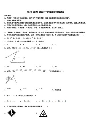 2023-2024学年山东省安丘市红沙沟镇红沙沟中学数学七下期末经典模拟试题含解析.doc
