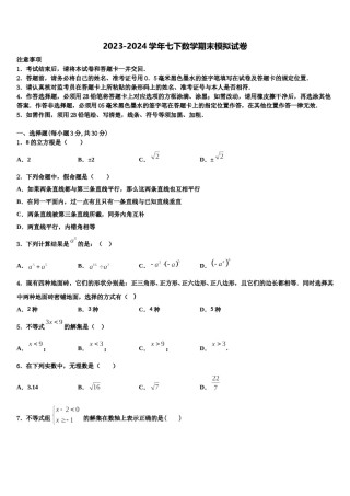 2023-2024学年山东省广饶经济开发区乐安中学七下数学期末教学质量检测模拟试题含解析.doc