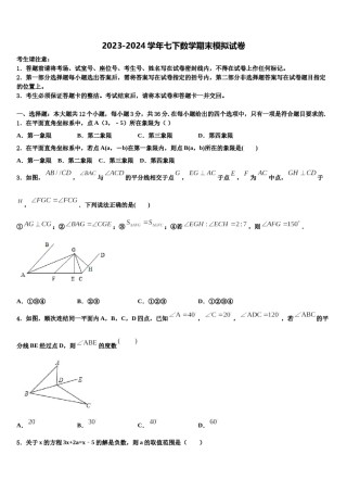 2023-2024学年山东省枣庄市薛城区临城七年级数学第二学期期末教学质量检测试题含解析.doc