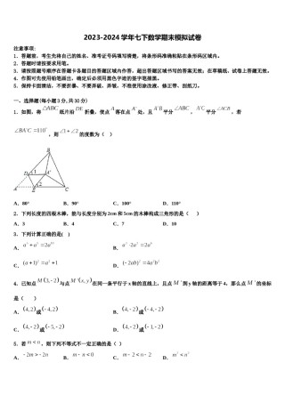 2023-2024学年山东省济南市名校数学七下期末学业水平测试试题含解析.doc