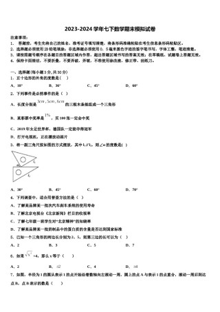 2023-2024学年山东省济宁市金乡县数学七下期末检测试题含解析.doc