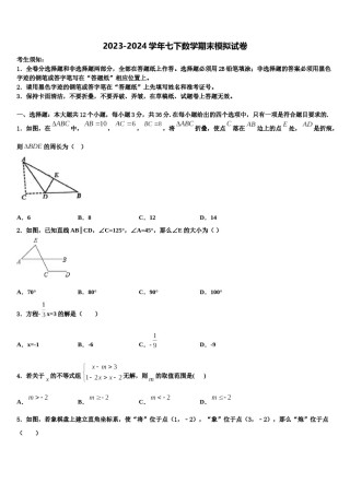 2023-2024学年山东省济宁梁山县联考七年级数学第二学期期末考试试题含解析.doc